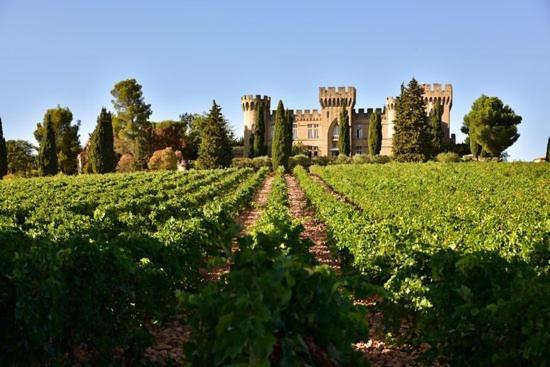 Bienvenue Chez Shiva Apartment Chateauneuf-du-Pape Bagian luar foto
