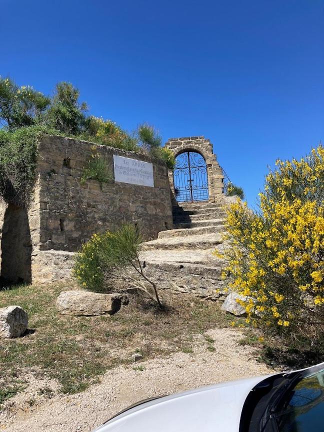 Bienvenue Chez Shiva Apartment Chateauneuf-du-Pape Bagian luar foto