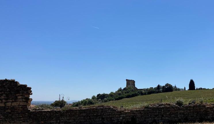 Bienvenue Chez Shiva Apartment Chateauneuf-du-Pape Bagian luar foto