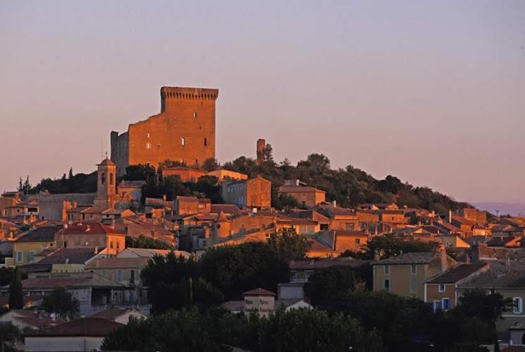 Bienvenue Chez Shiva Apartment Chateauneuf-du-Pape Bagian luar foto